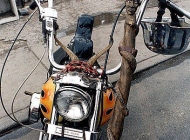 Harley-Davidson