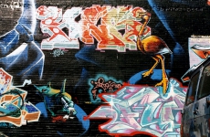 Bronx