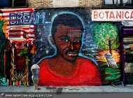 American dream