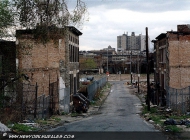 The Bronx