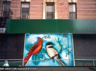 Birds