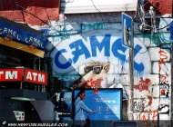 Camel