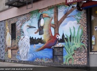 Exotic birds