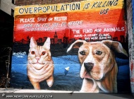 Overpopulation
