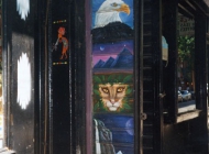 Door